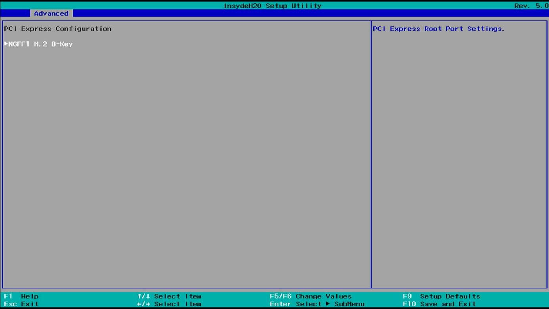 PCI Express Configuration